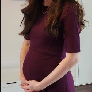 Isabella Oliver Maternity Dress